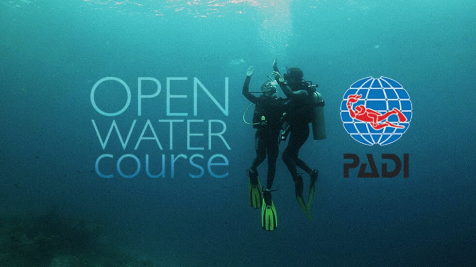 Kursus Diving PADI Open Water