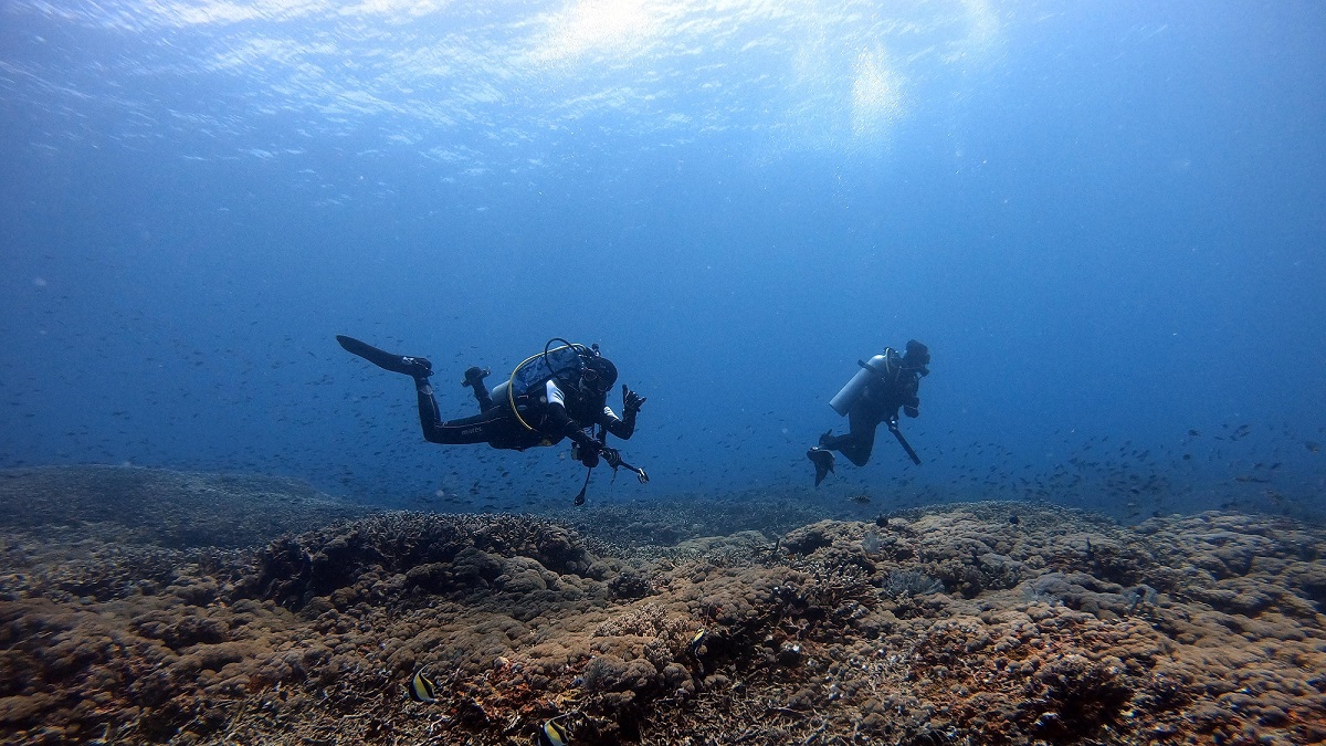 Nusa Penida Underwater
