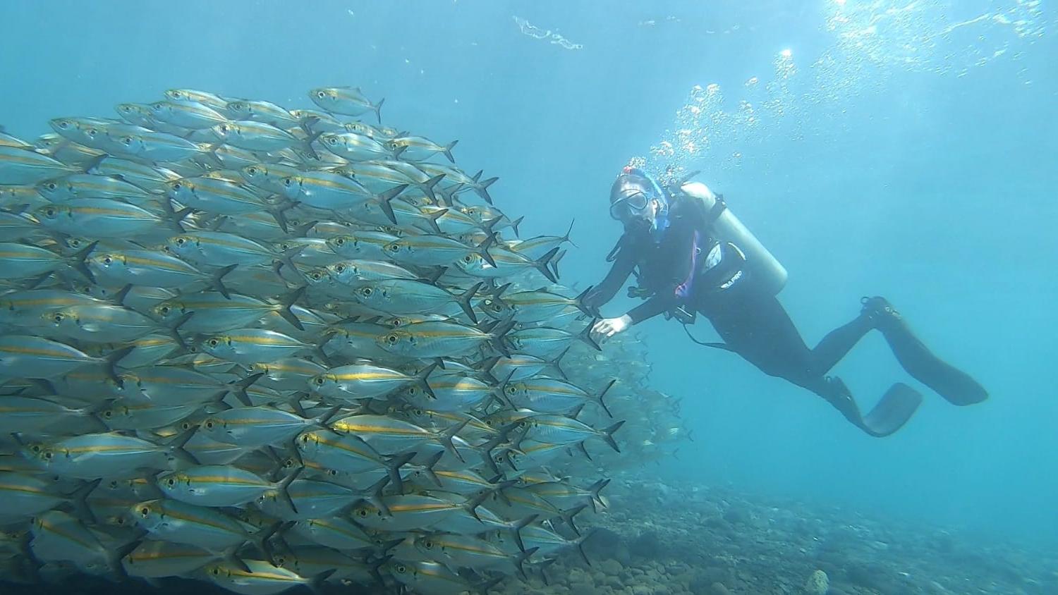 Diving In Nusa Penida