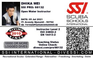 SSI Instructor